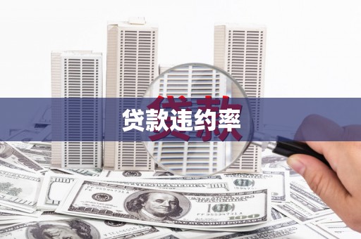 新龙贷款违约率