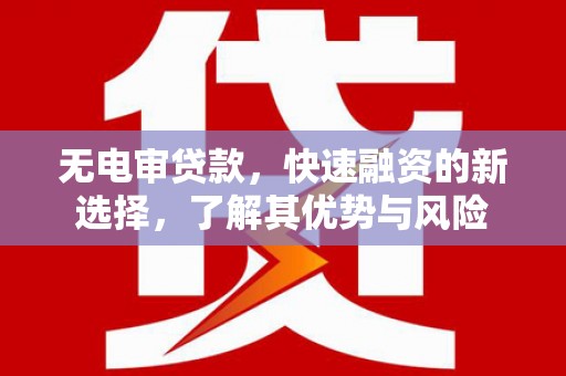 新龙无电审贷款，快速融资的新选择，了解其优势与风险