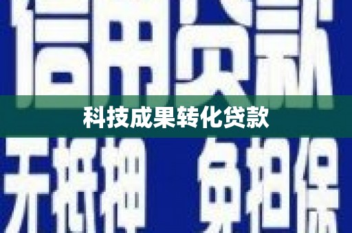 新龙科技成果转化贷款