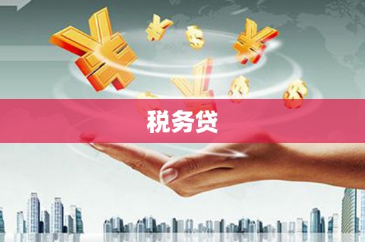 新龙税务贷