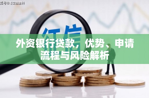 新龙外资银行贷款，优势、申请流程与风险解析