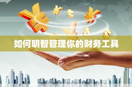 新龙如何明智管理你的财务工具