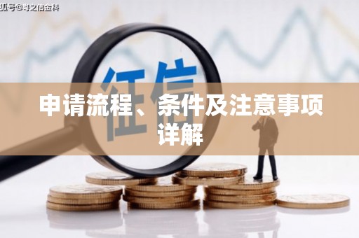 新龙申请流程、条件及注意事项详解