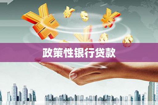 新龙政策性银行贷款