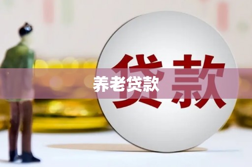 新龙养老贷款