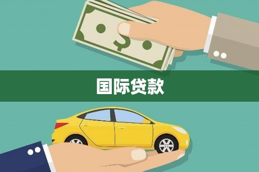新龙国际贷款