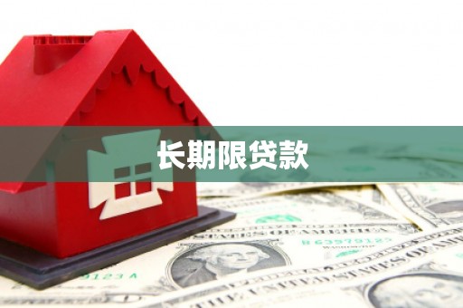 新龙长期限贷款