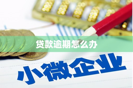 新龙贷款逾期怎么办