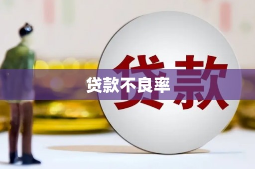 新龙贷款不良率