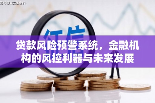 新龙贷款风险预警系统，金融机构的风控利器与未来发展