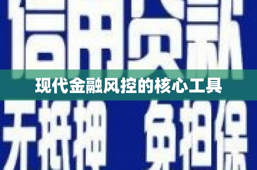 新龙现代金融风控的核心工具