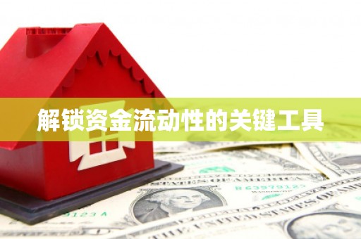 新龙解锁资金流动性的关键工具