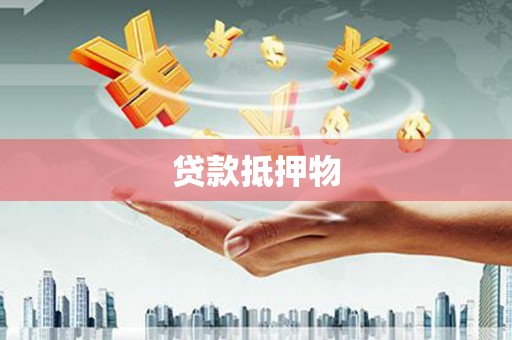 新龙贷款抵押物
