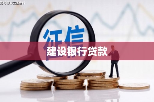 新龙建设银行贷款