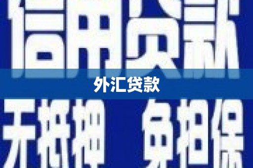 新龙外汇贷款