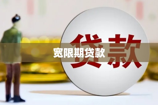 新龙宽限期贷款