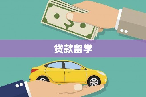 新龙贷款留学