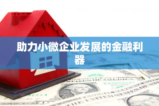 新龙助力小微企业发展的金融利器