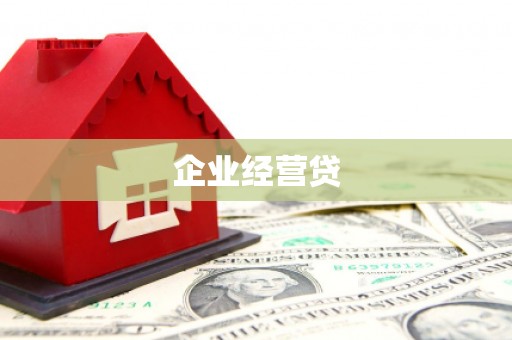 新龙企业经营贷