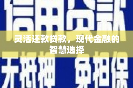 新龙灵活还款贷款，现代金融的智慧选择