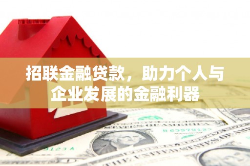 新龙招联金融贷款，助力个人与企业发展的金融利器