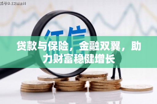 新龙贷款与保险，金融双翼，助力财富稳健增长