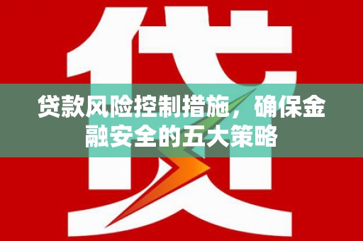 新龙贷款风险控制措施，确保金融安全的五大策略