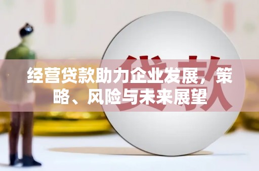 新龙经营贷款助力企业发展，策略、风险与未来展望