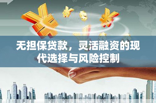 新龙无担保贷款，灵活融资的现代选择与风险控制