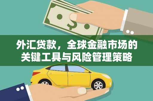 新龙外汇贷款，全球金融市场的关键工具与风险管理策略