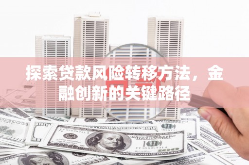 新龙探索贷款风险转移方法，金融创新的关键路径