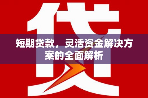新龙短期贷款，灵活资金解决方案的全面解析