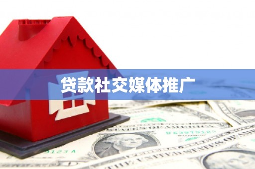 新龙贷款社交媒体推广