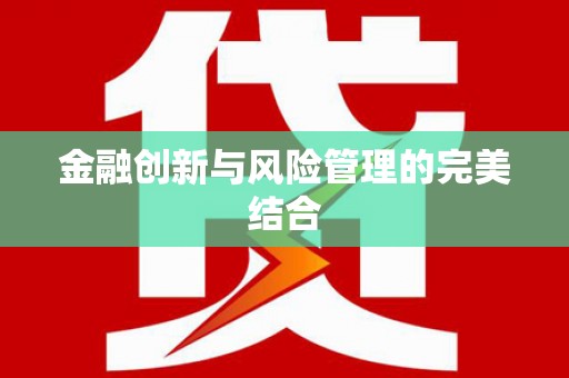 新龙金融创新与风险管理的完美结合