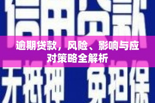 新龙逾期贷款，风险、影响与应对策略全解析