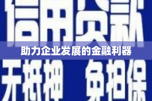 新龙助力企业发展的金融利器