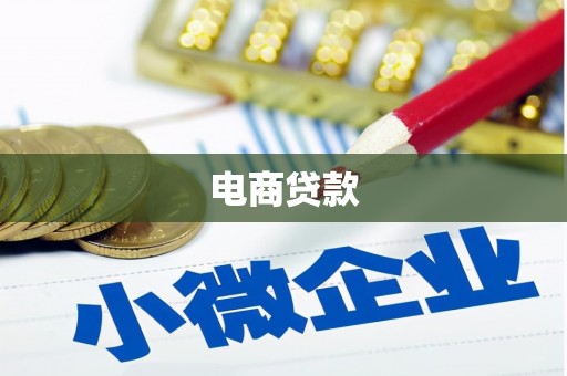 新龙电商贷款