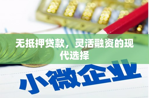 新龙无抵押贷款，灵活融资的现代选择
