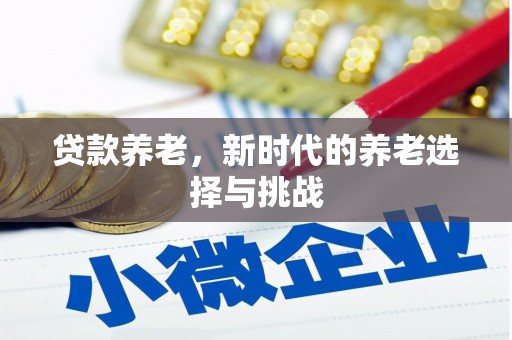 新龙贷款养老，新时代的养老选择与挑战