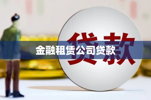 新龙金融租赁公司贷款