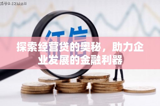 新龙探索经营贷的奥秘，助力企业发展的金融利器