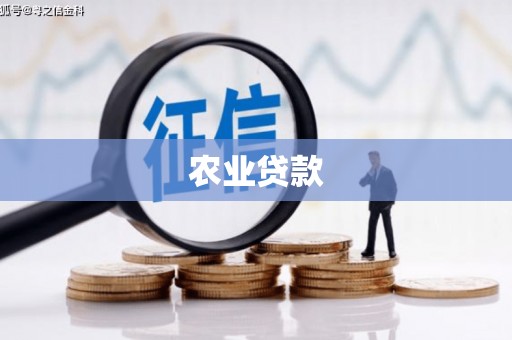 新龙农业贷款