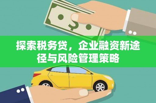 新龙探索税务贷，企业融资新途径与风险管理策略
