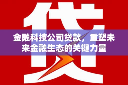 新龙金融科技公司贷款，重塑未来金融生态的关键力量