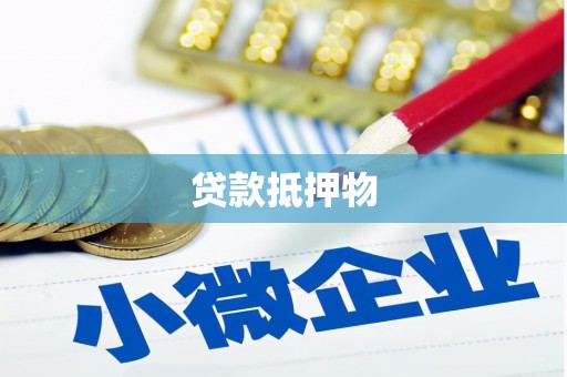 新龙贷款抵押物
