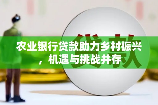 新龙农业银行贷款助力乡村振兴，机遇与挑战并存