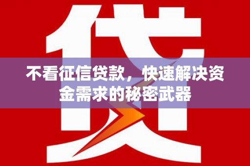 新龙不看征信贷款，快速解决资金需求的秘密武器