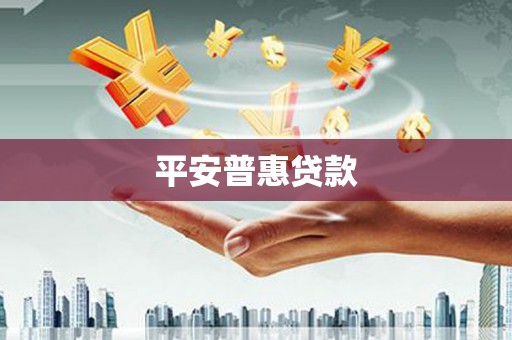 新龙平安普惠贷款