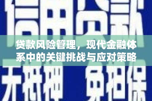 新龙贷款风险管理，现代金融体系中的关键挑战与应对策略