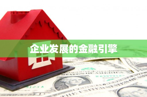 新龙企业发展的金融引擎